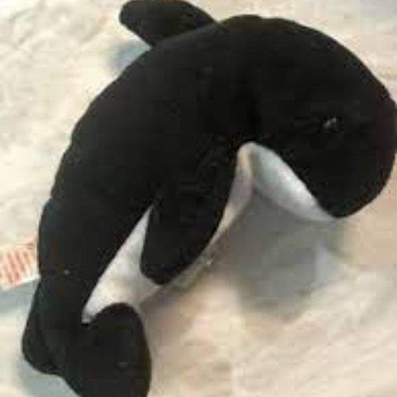 Echo the ocra whale
